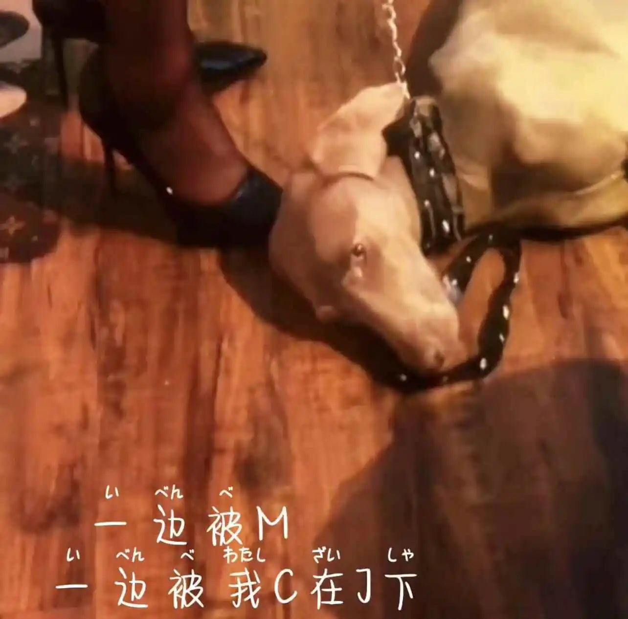 西檬之家TK是什么?字母圈挠痒痒入门指南 一