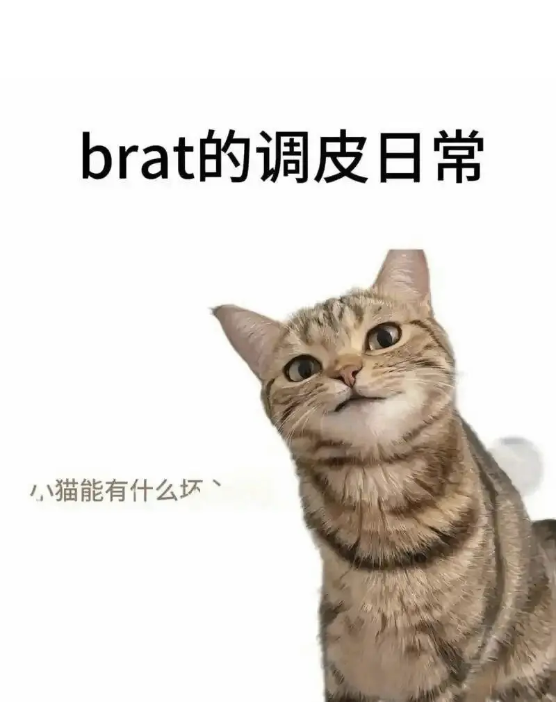 西檬之家字母圈管教是什么意思? 一