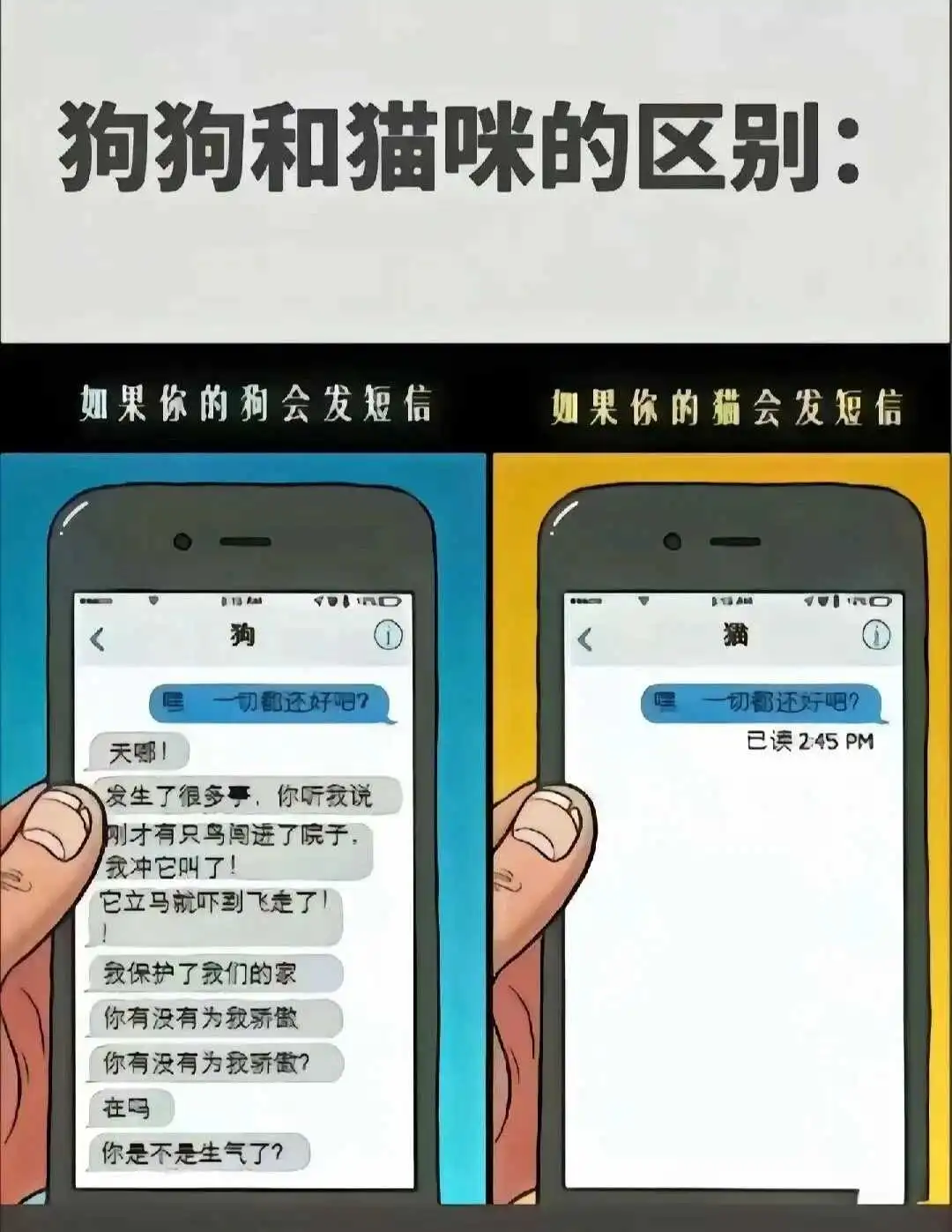 西檬之家BDSM安全词是什么? 一