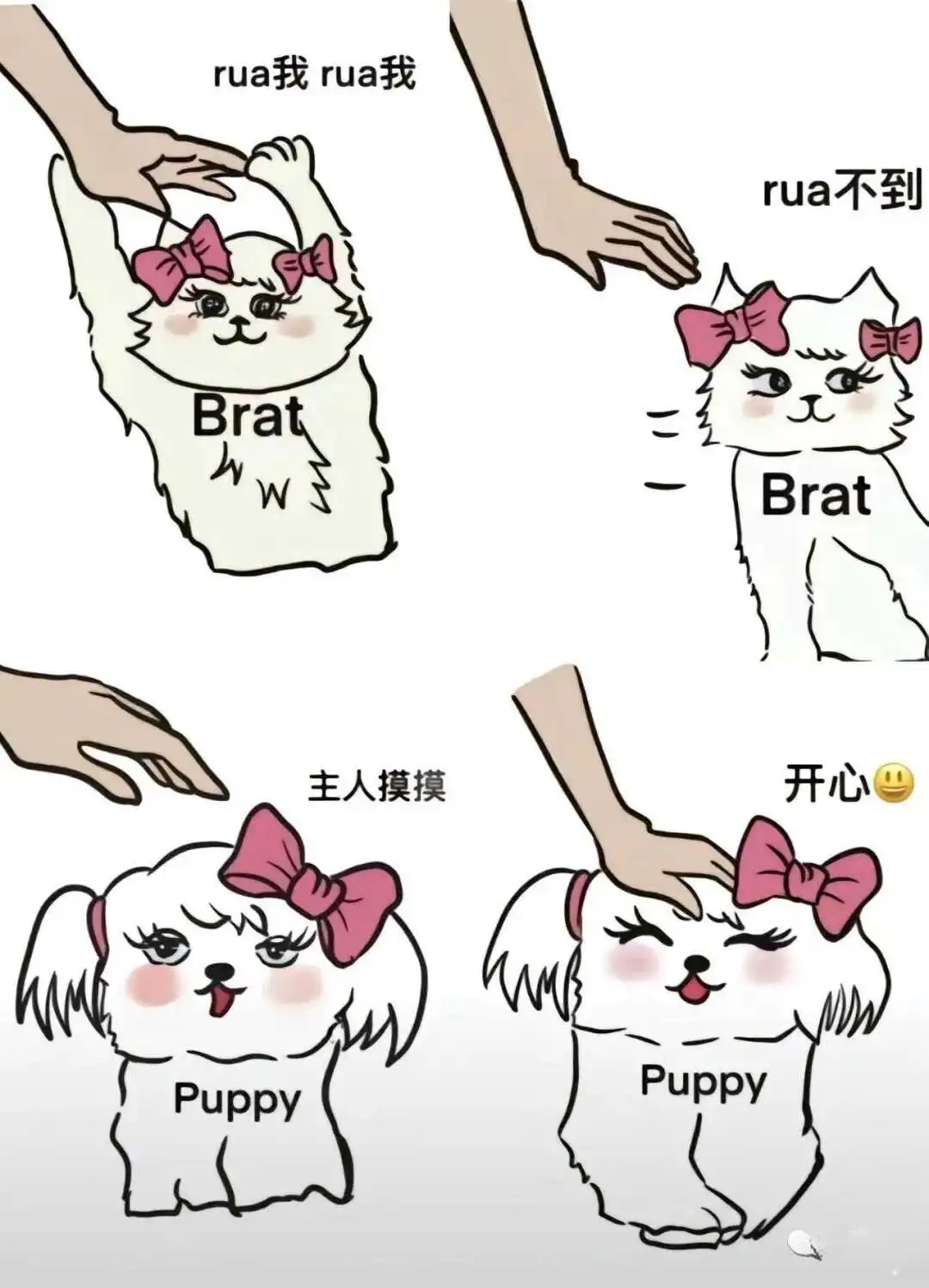 西檬之家Dirty Talk是什么?字母圈新人入圈 一