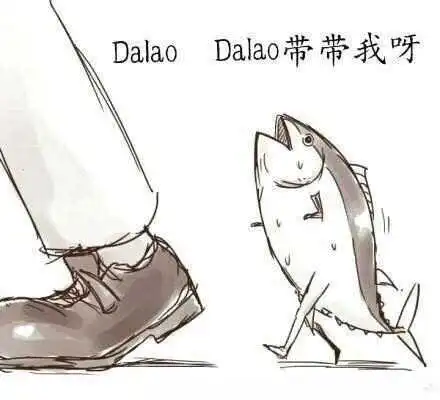 西檬之家k9犬系是什么? 一