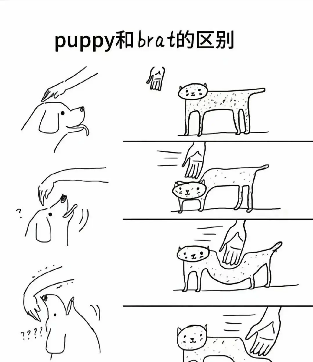 西檬之家字母圈的小圈是什么意思? 一