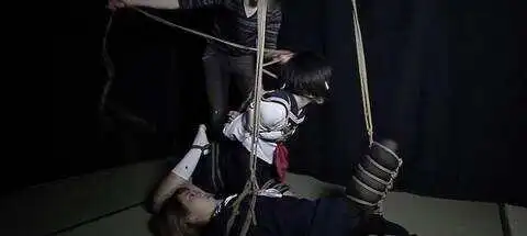 西檬之家M倾向是什么意思? 一